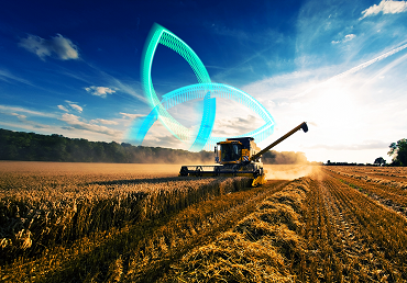 Phosphate Focus: Utilizing Prediction Markets for Phosphate Price Futures